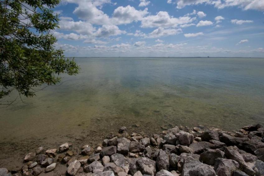 De Meerkoet - foto 30