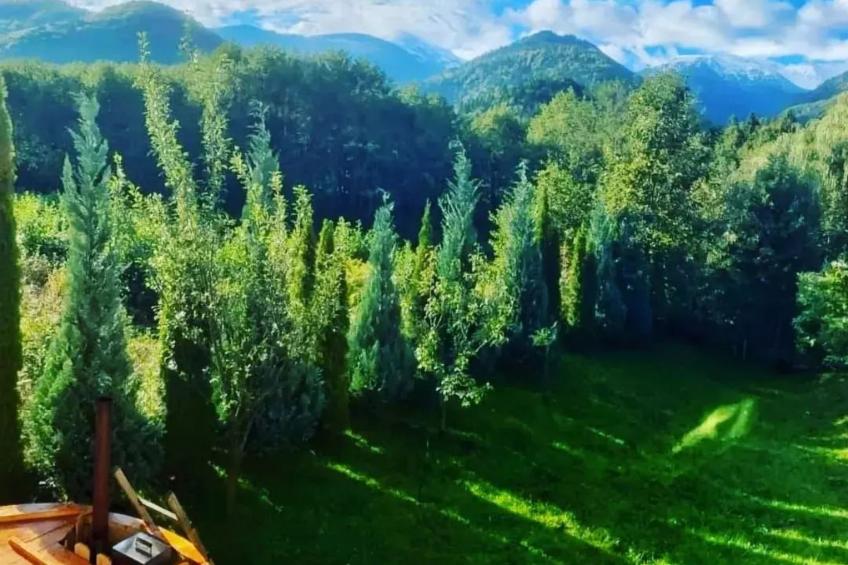 Vila Roberta Breaza Brasov - foto 3