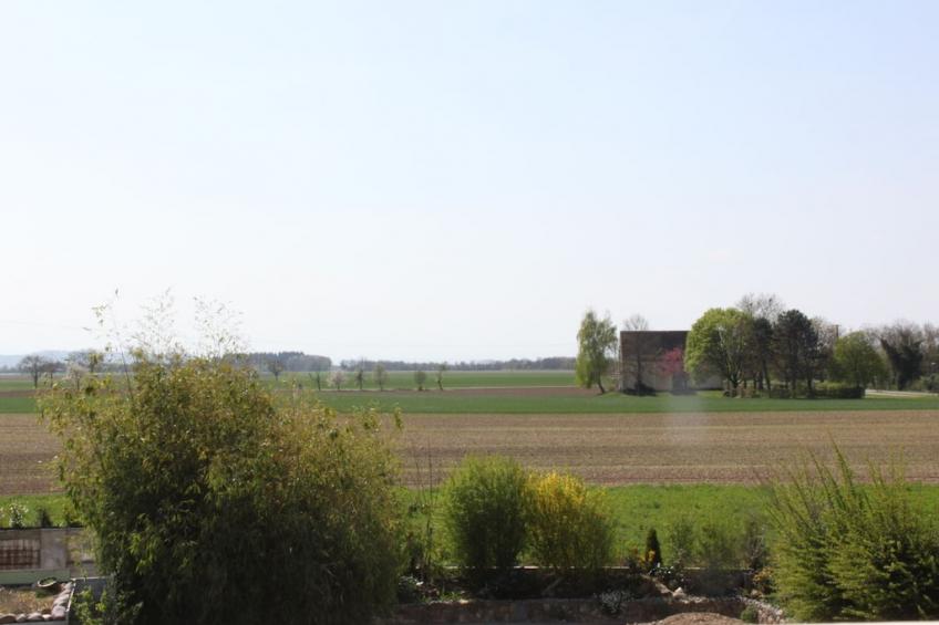 177033 - foto 4