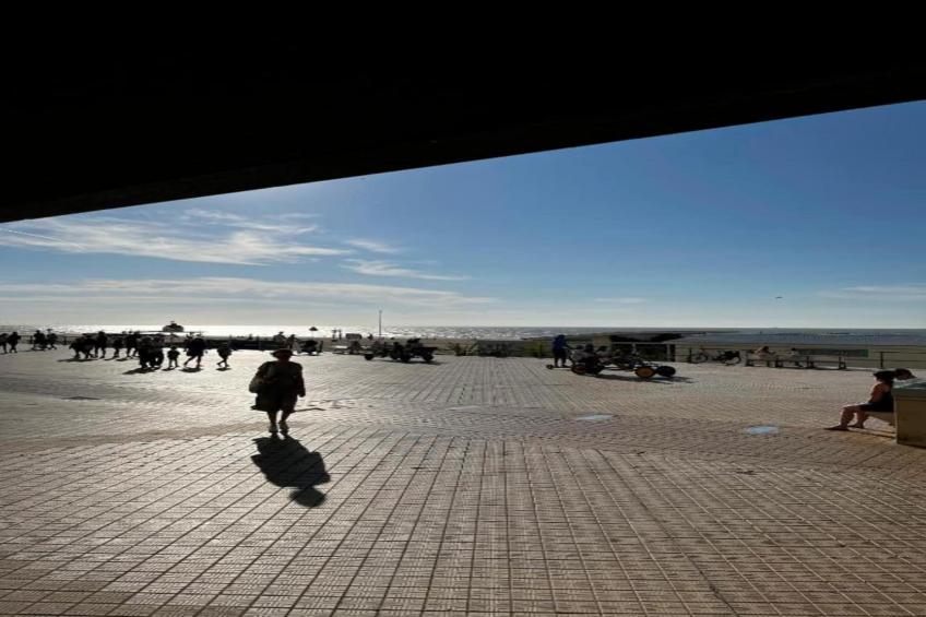 The Croisette - foto 30