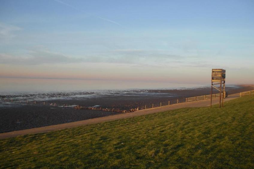 Bargereed 90 - foto 29