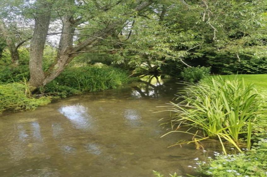 South Downs Lodge - foto 28