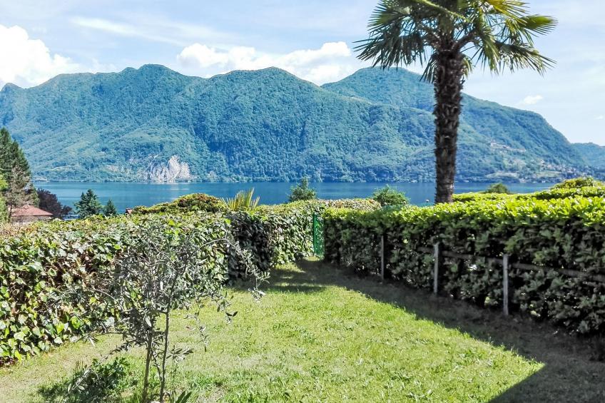La Selva - foto 21