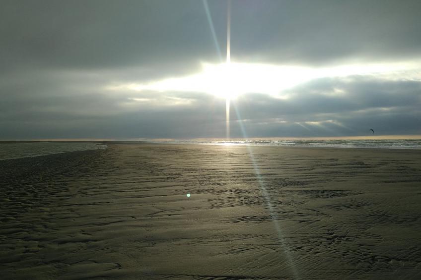 Le Bois aux Ecureuils (Eichhörnchenwald) - foto 39