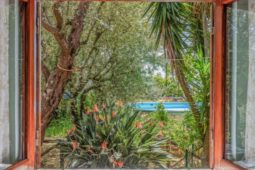 Sonnenstrahl - foto 22