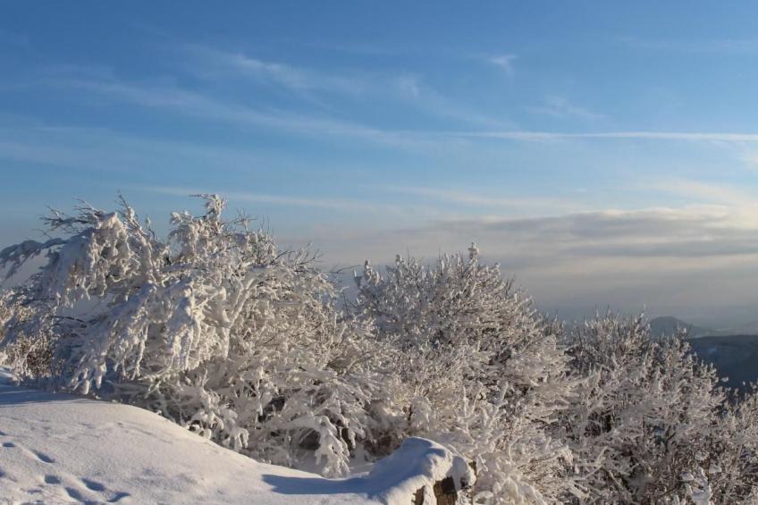 Jägerhaus - foto 41