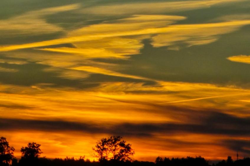 Ferienchalet Holzer - foto 15