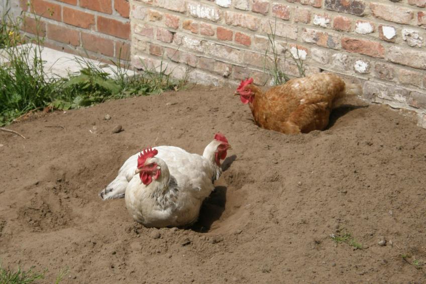 mit gemeinsamem Pool und Garten - foto 12