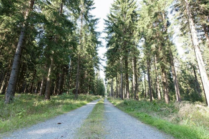 Jägersgrün - foto 36