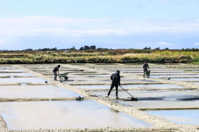 Charme et Confort en bord de mer - foto 42