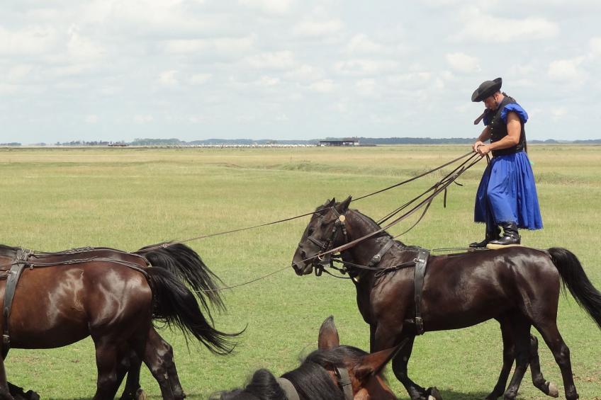 Hütte mit Garten, Grill und Terrasse - foto 45