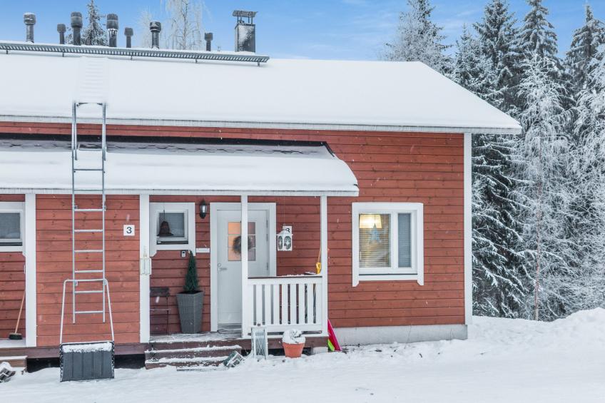 Bella tintti - foto 17