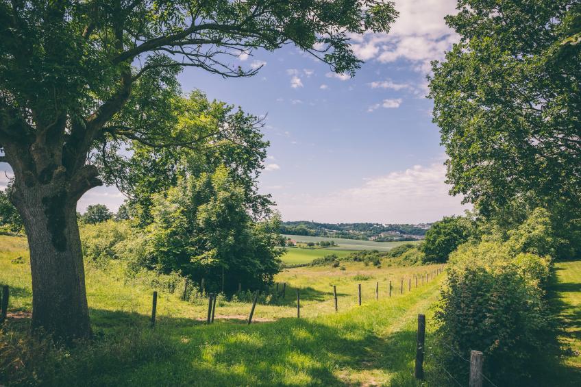 Bungalowpark Schin op Geul 14 - foto 11