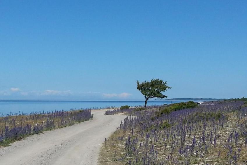 Niedliches Schwedenhaus. - foto 32