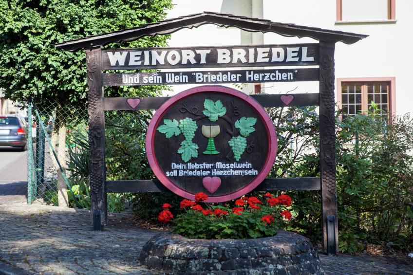 Briedel - foto 30