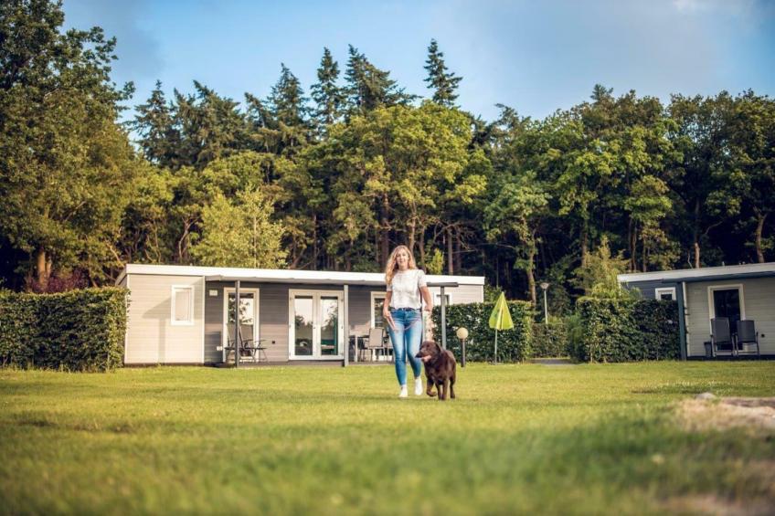 Forest Edge Chalet | 2 - 6 people - foto 19