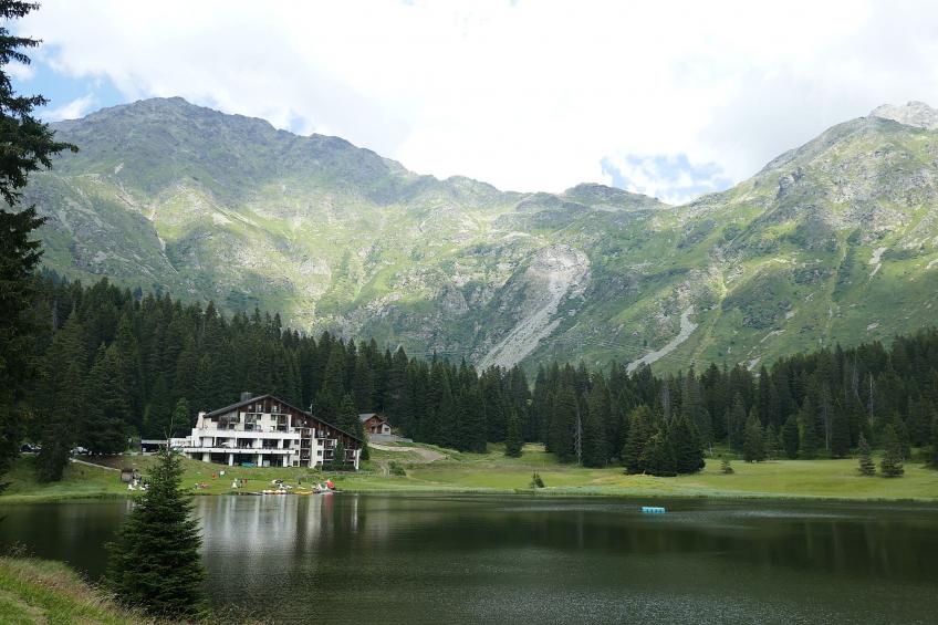 Nido delle Alpi - foto 36