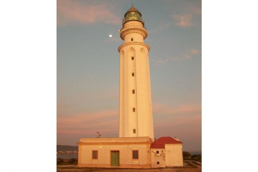 265917 - foto 12