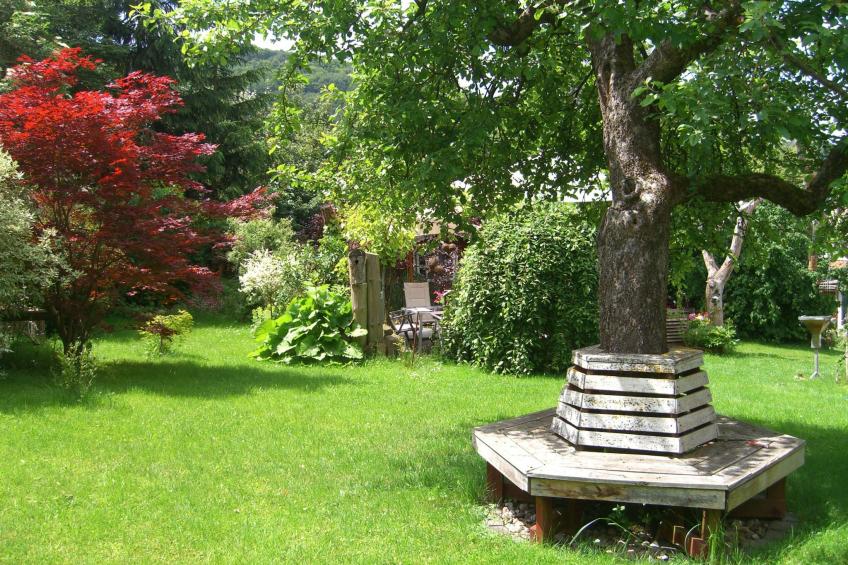 Gemütliches Ferienhaus in Fischbach Rhön - foto 18