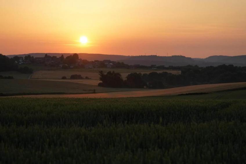 La Cour des Seigneurs 24 p - foto 33