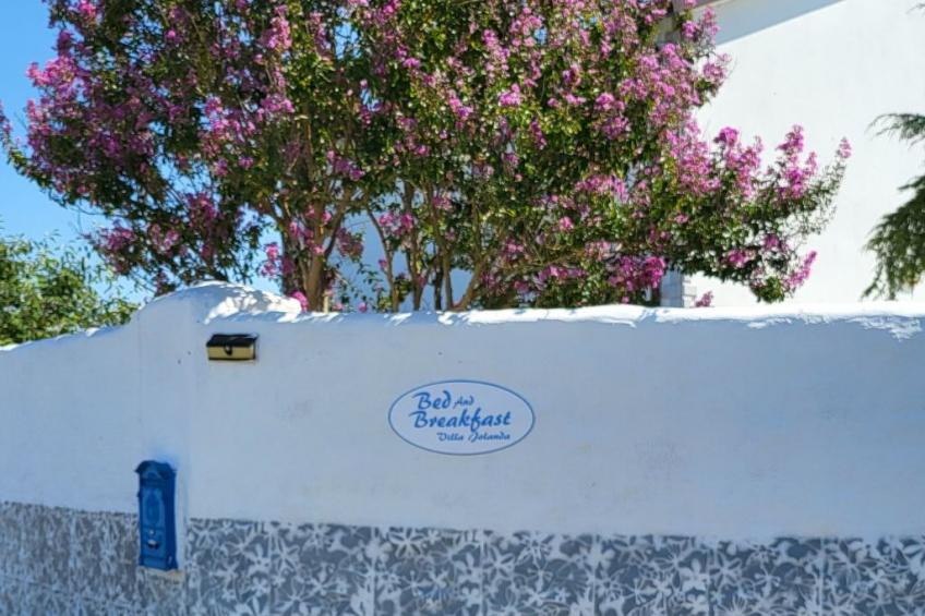 Wohnung 'Villa Jolanda Bed and Breakfast - foto 21