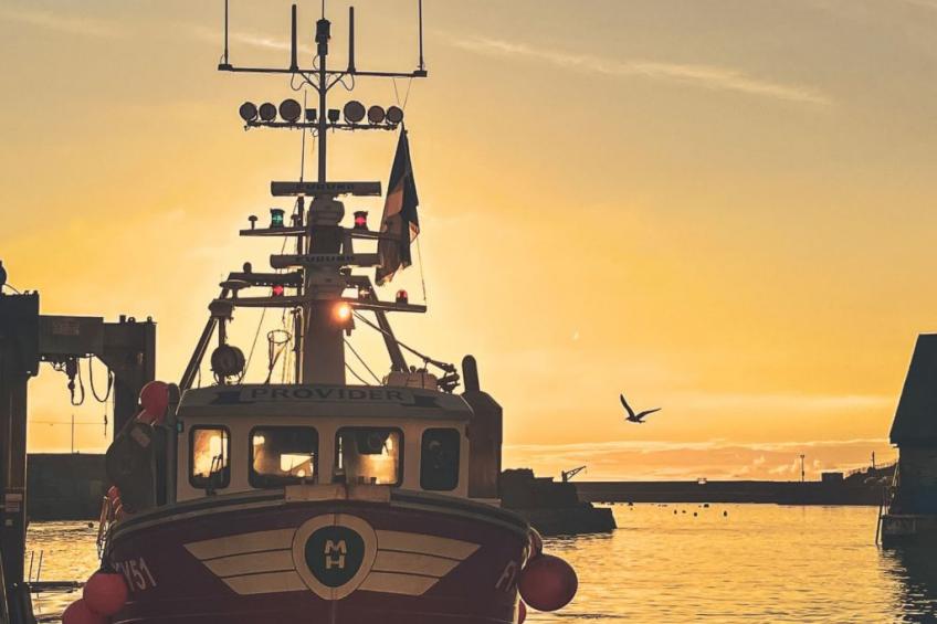 Shanty Cottage - foto 42