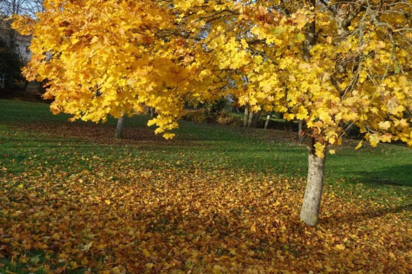 Maison de vacances - DIGES - foto 28