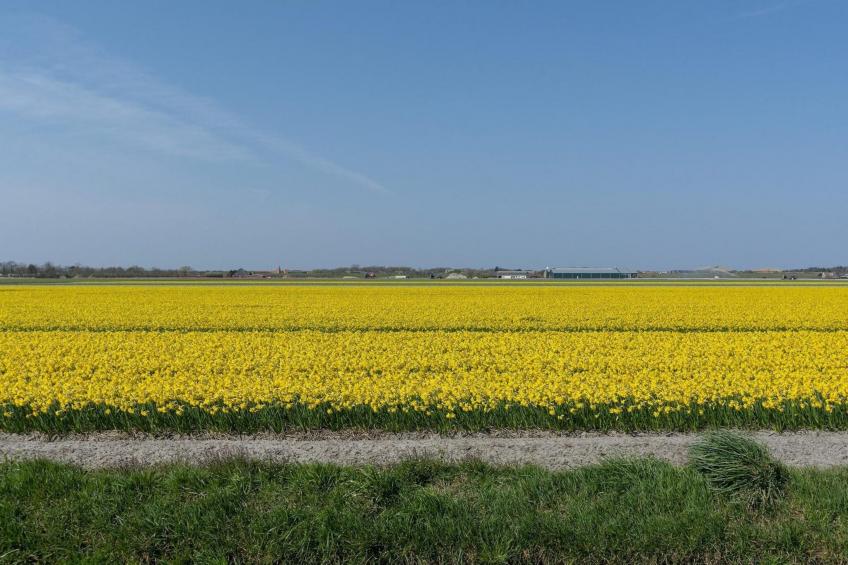 Ooghduyne 75 - foto 30