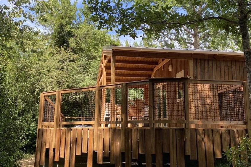 Wohnung in Vivario mit Terrasse, Grill und Garten - foto 3