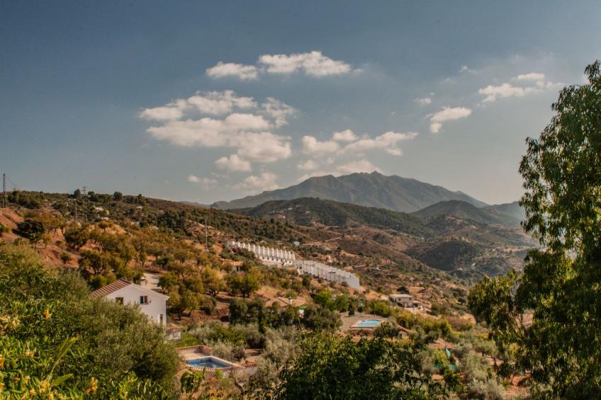 Seeadlerhorst - foto 8