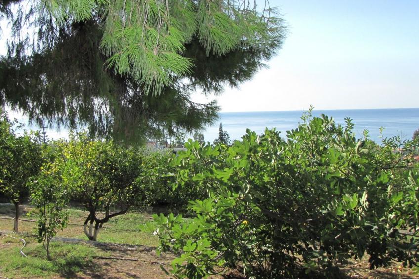 Bungalows für 2-4 Pers. mit Meerblick - foto 15