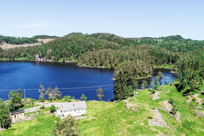 Der ute (SOW441) - foto 22