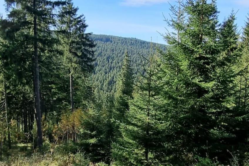 Appartement mit Blick auf das Wasser - foto 22
