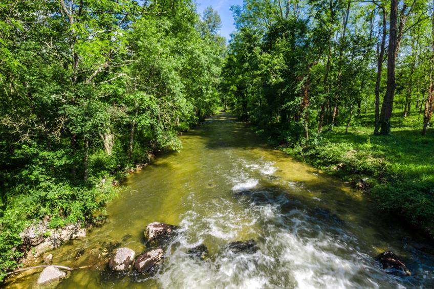 DUBRAVAC / HR-09867-01 - foto 6