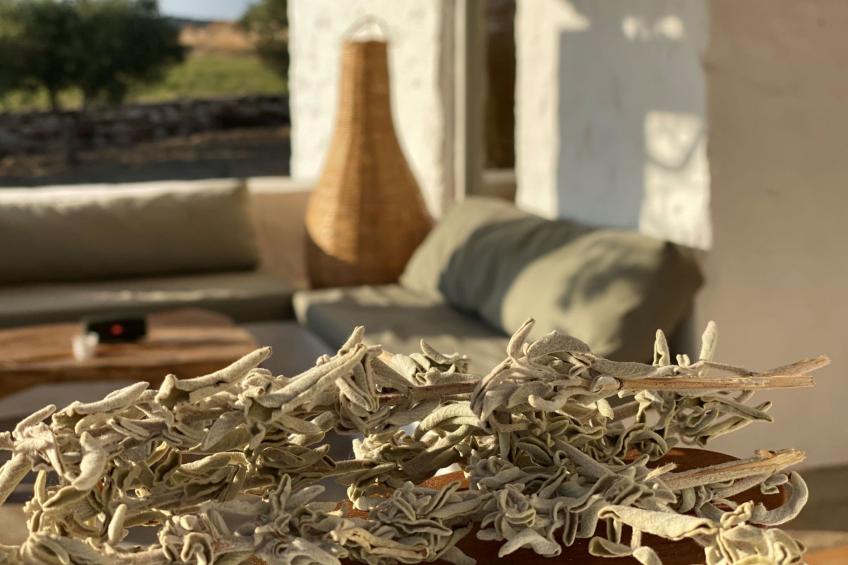 Ferienvilla "Villa Stamata" mit Pool und Garten - foto 20