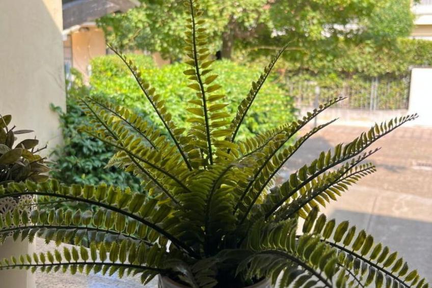 Bell'aria Apartment - foto 15