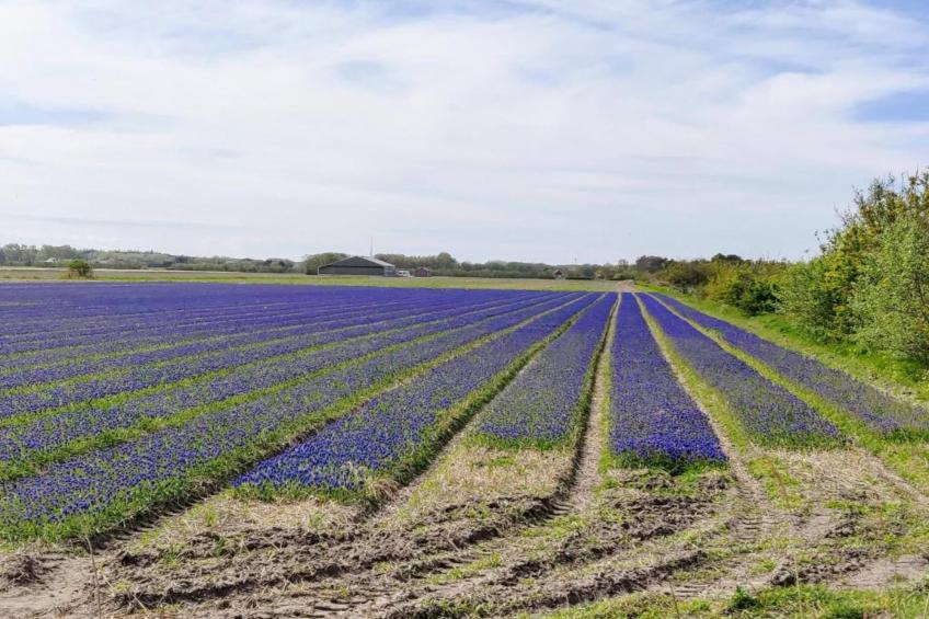 Kustpark Texel 7 - foto 36