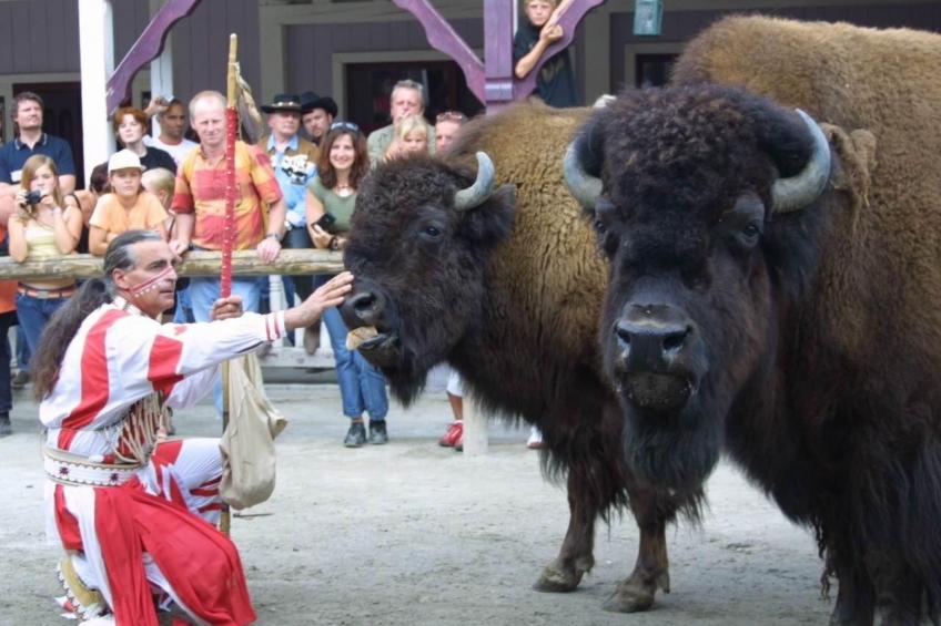 Ferienhäuschen 44 qm - foto 29