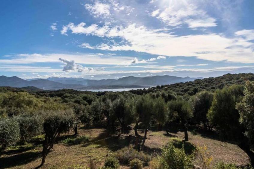 Résidence Hsain001-olmeto - foto 25