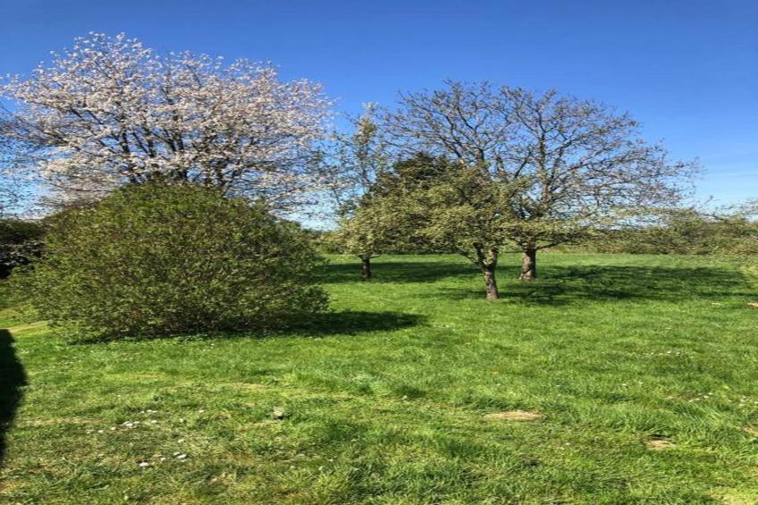 Stardust 40 Family Lodge - foto 28