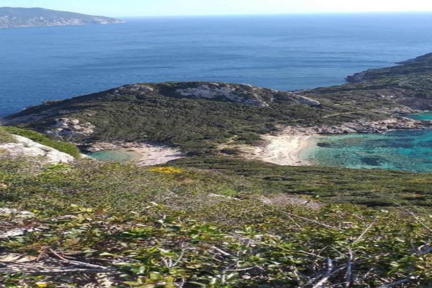 Villa Exclusive - foto 26