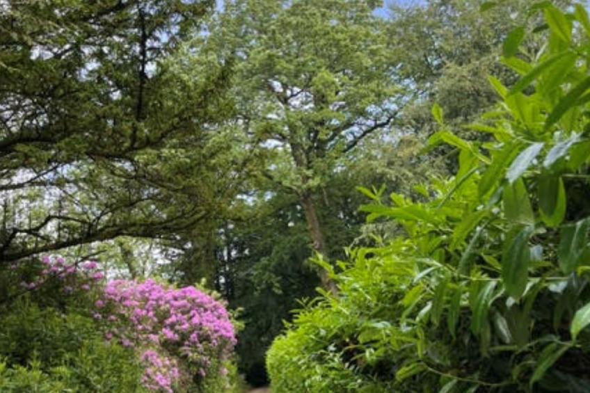 Brockwood - foto 4