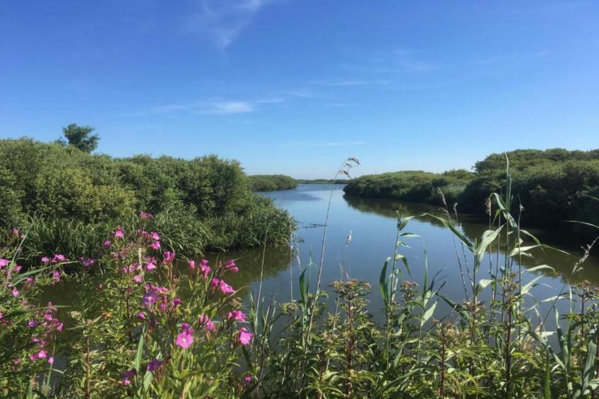 Beach 15-6 - foto 34