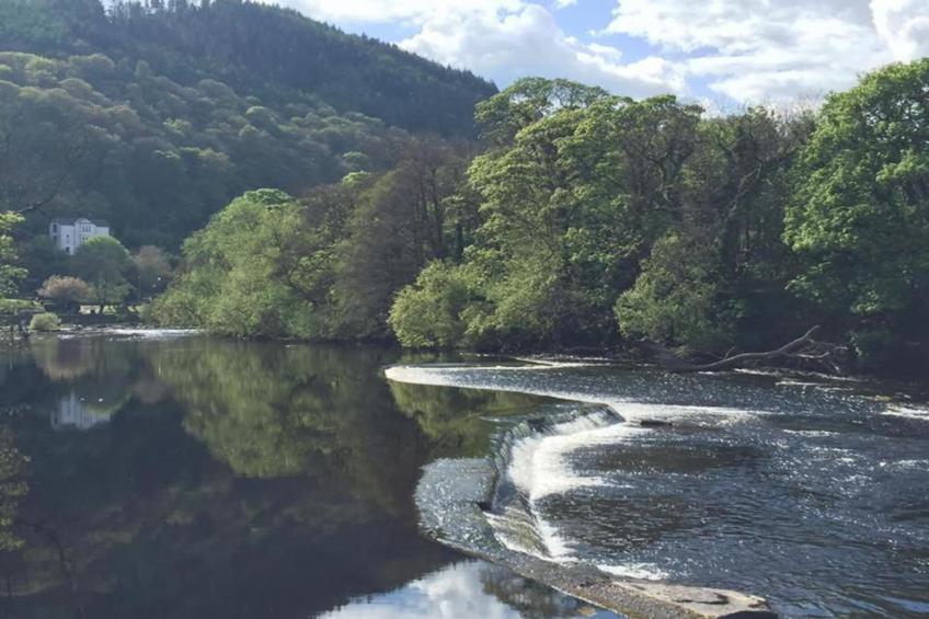 Owl Cottage - foto 27