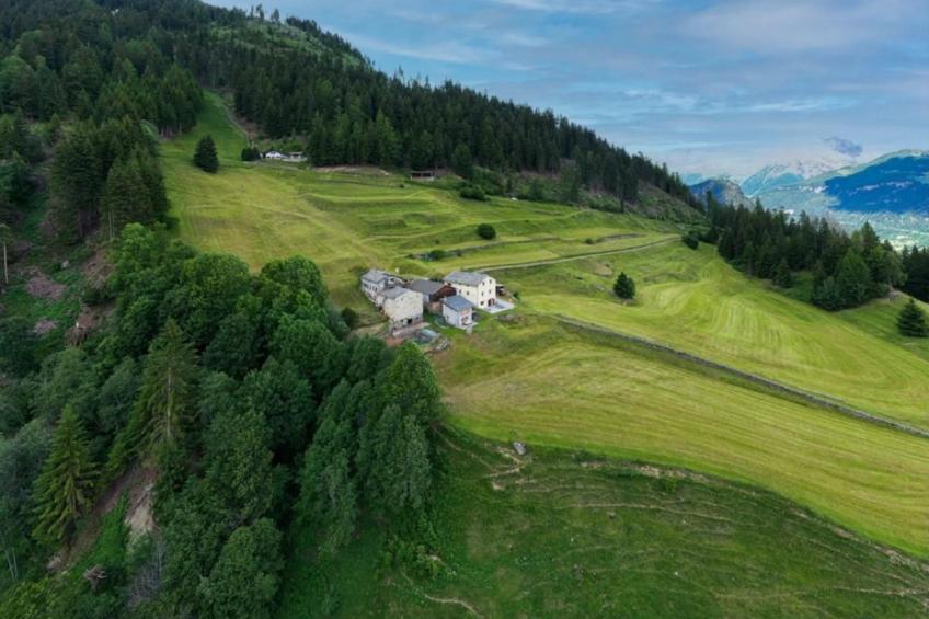 Monte Campell Dasura - foto 3