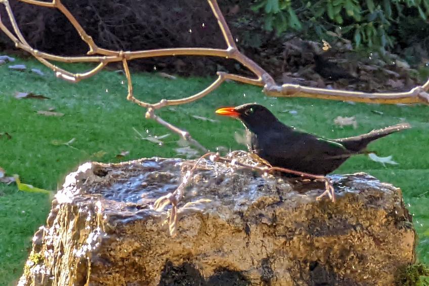 Auszeitoase Freystadt - Park, Billard, Sauna, Kamin, E-Bikes, - ideal für große - foto 32