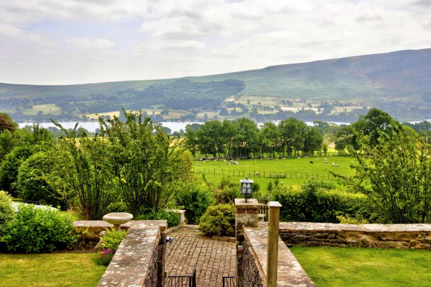 Willow's View - foto 27