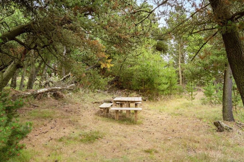 "Atreju" - 2km from the sea in NW Jutland - foto 5