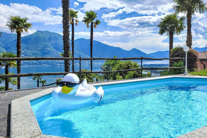 Vernice Gialla - foto 5