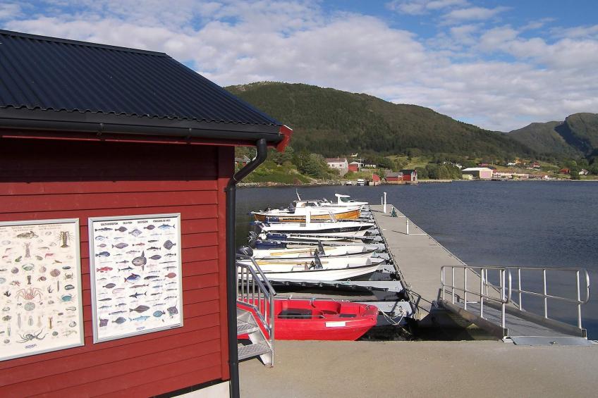 TORSKEN 40412 - foto 28